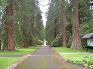 Benmore_avenue