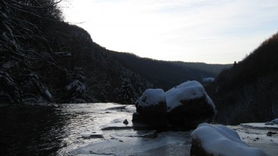 IMG_0581