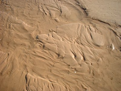 DSCF0026