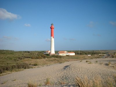 DSCF0028
