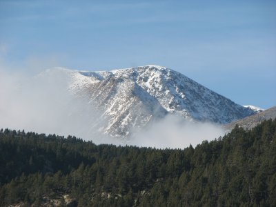 IMG_0523