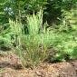 2005_0626_102258AA
