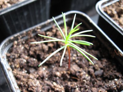 2008_0406_00001