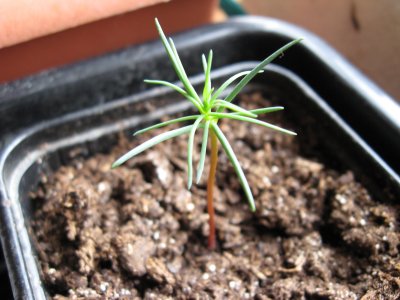 2008_0406_00002