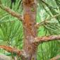 2008_0517_img_1079
