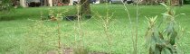 DSCF0016