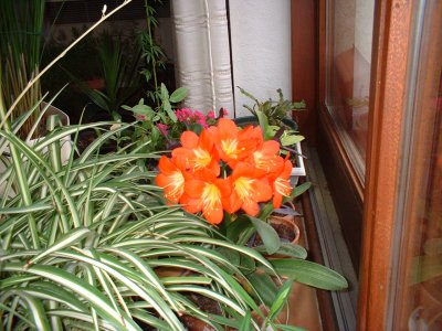 2004_0222_143231AA