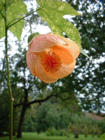 2004_0914_153637AA
