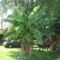 2006_0814_170538AA