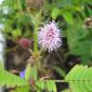 2007_0819_095540AA