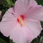 2007_0819_095754AA
