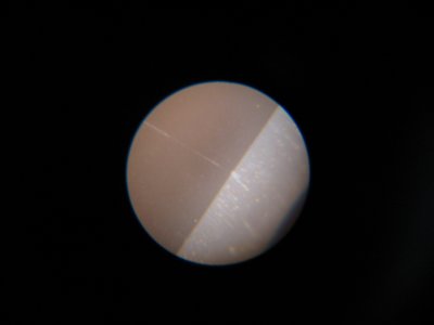 IMG_0555