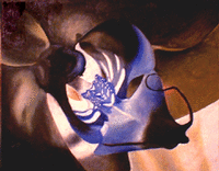 orchid